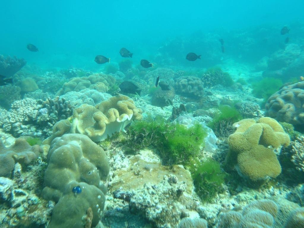 Oro Beach Houses Weetebula ภายนอก รูปภาพ